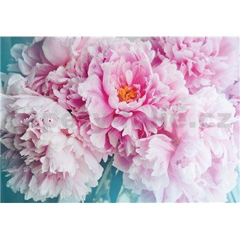 Vliesové fototapety pivonky ružové rozmer 368 cm x 254 cm
