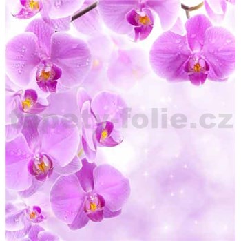 Vliesové fototapety vetva fialové orchidey, rozmer 312 cm x 219 cm