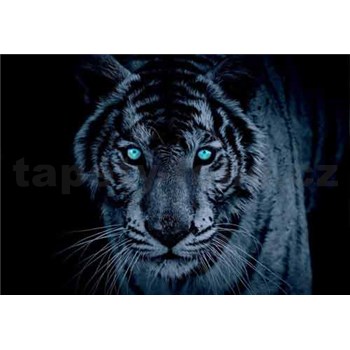 Vliesové fototapety leopard tyrkysové oči, rozmer 312 x 219 cm
