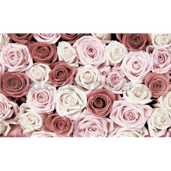 Fototapety ruže, rozmer 368 cm x 254 cm