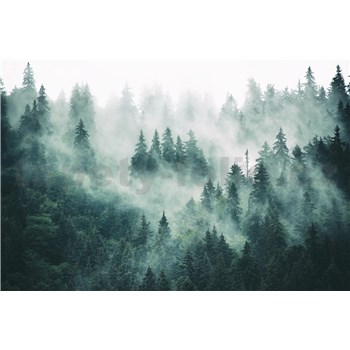 Vliesové fototapety les v hmle rozmer 375 cm x 250 cm