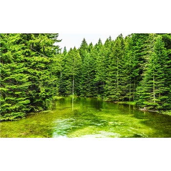 Fototapety lesné jazero rozmer 368 cm x 254 cm - POSLEDNÉ KUSY