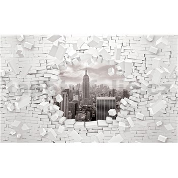 Fototapety 3D New York čierno-biely, rozmer 368 cm x 254 cm