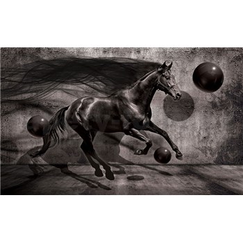 Fototapety 3D kôň, rozmer 368 cm x 254 cm