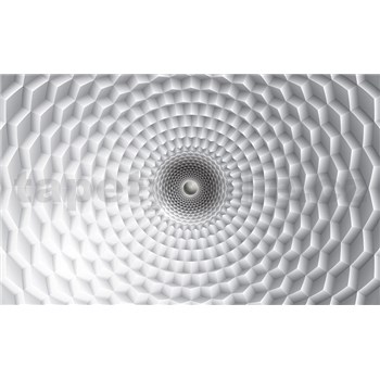 Fototapety 3D abstrakcie sivo-biela, rozmer 254 cm x 184 cm