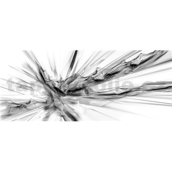Vliesové fototapety abstrakcie čierno-biela, rozmer 250 cm x 104 cm