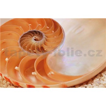 Fototapeta National Geographic Nautilus, rozmer 184 x 127 cm - POSLEDNÝ KUS