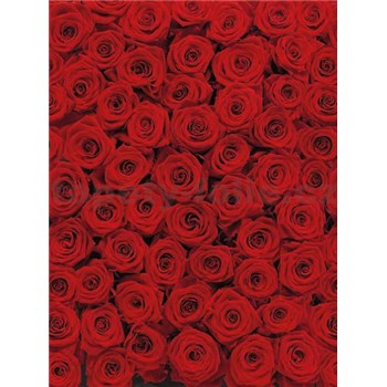 Fototapeta červené ruže, rozmer 183 x 254 cm