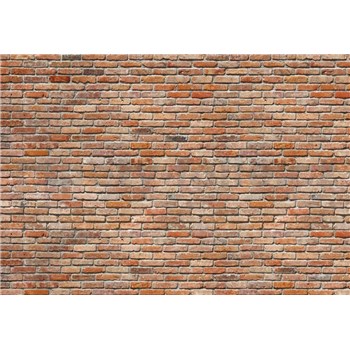 Fototapety Backstein, rozmer 368 x 254 cm