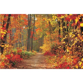 Fototapety les na jeseň, rozmer 254 cm x 184 cm