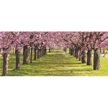Vliesové fototapety spring, rozmer 250 x 104 cm
