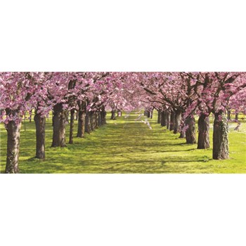 Vliesové fototapety spring, rozmer 250 x 104 cm