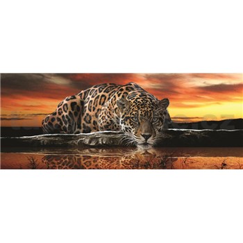 Vliesové fototapety jaguár, rozmer 250 cm x 104 cm