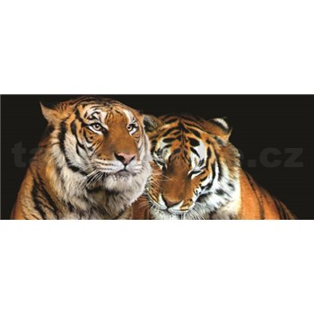 Vliesové fototapety tiger, rozmer 250 x 104 cm