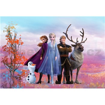 Fototapety Disney Frozen II priatelia rozmer 368 cm x 254 cm