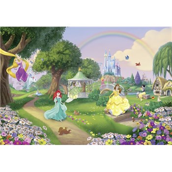 Fototapety Disney Princess dúha rozmer 368 cm x 254 cm