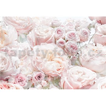 Fototapety jarné ruže rozmer 368 cm x 254 cm