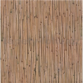 Samolepiace tapety - bambus, metráž, šírka 67,5 cm, návin 15m,