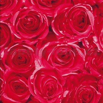 Samolepiace tapety ruže červené 45 cm x 15 m