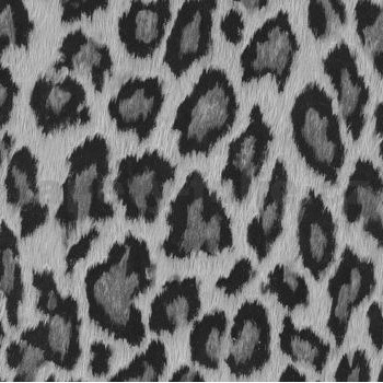 Samolepiace tapety koža leoparda sivá 45 cm x 15 m