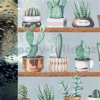 Statické tapety transparentné kaktusy - 67,5 cm x 15 m