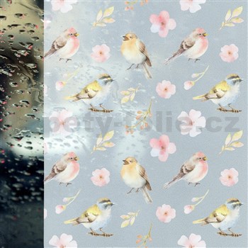 Statické tapety transparentné SPRING BIRDS - 67,5 cm x 15 m