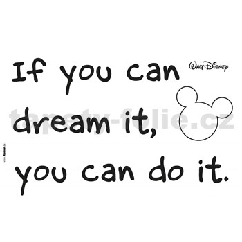 Samolepky na stenu Disney You Can do it rozmer 50 cm x 70 cm