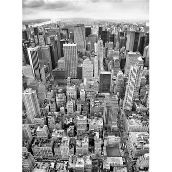 Vliesové fototapety New York rozmer 184 cm x 248 cm