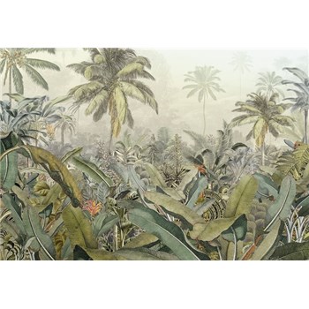 Vliesové fototapety Amazonia 368 cm x 248 cm