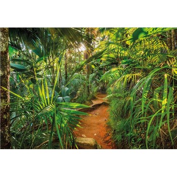 Fototapety Jungle Trail, rozmer 368 x 254 cm