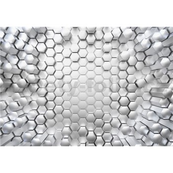Fototapety 3D Titanium rozmer 368 cm x 254 cm - POSLEDNÉ KUSY