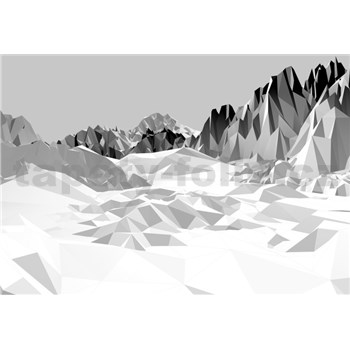 Fototapety 3D Icefields rozmer 368 cm x 254 cm - POSLEDNÝ KUS