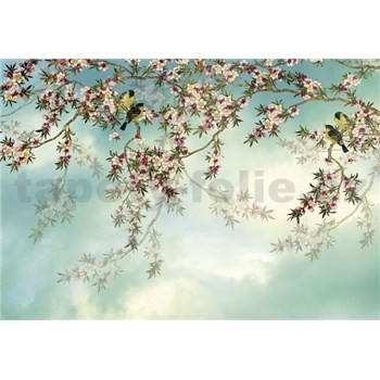 Papierové fototapety Sakura rozmer 368 cm x 254 cm