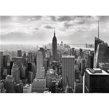 Fototapety New York Black and White, rozmer 368 x 254 cm