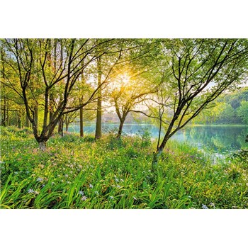 Fototapety Spring Lake, rozmer 368 x 254 cm