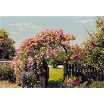 Fototapety Rose Garden, rozmer 368 x 254 cm