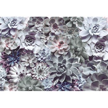Fototapety Shades, rozmer 368 x 254 cm