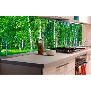 Samolepiace tapety za kuchynskú linku brezový les rozmer 180 cm x 60 cm