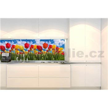 Samolepiace tapety za kuchynskú linku farebné tulipány rozmer 260 cm x 60 cm
