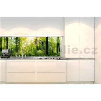 Samolepiace tapety za kuchynskú linku svitanie v lese rozmer 350 cm x 60 cm