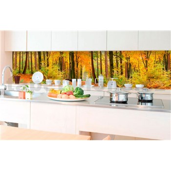Samolepiace tapety za kuchynskú linku les v jeseni rozmer 350 cm x 60 cm
