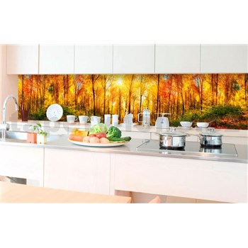 Samolepiace tapety za kuchynskú linku slnečný les rozmer 350 cm x 60 cm