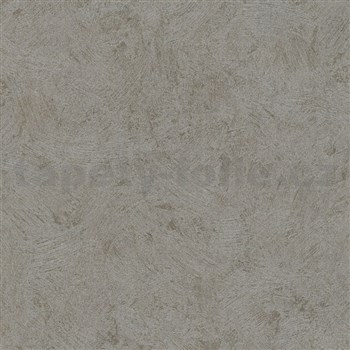 Vliesové tapety na stenu IMPOL  Basic moderná štruktúrovaná omietkovina hnedá