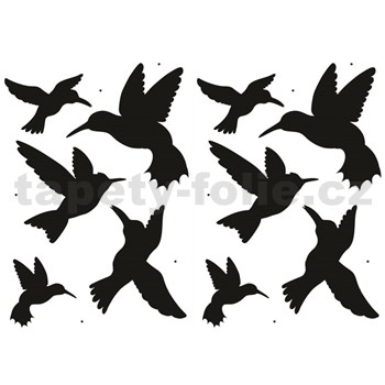 Samolepky na stenu - vtáky kolibríci 45 x 65 cm