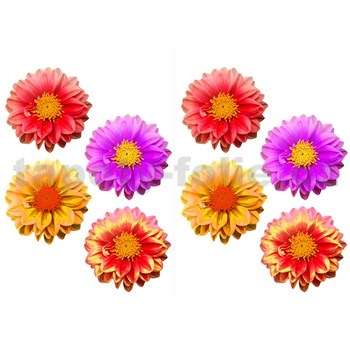 Samolepky na stenu - kvety 45 x 65 cm