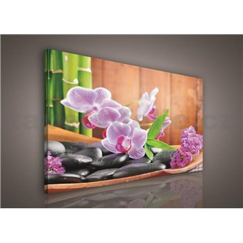 Obraz na stenu orchidea s kameňami 100 x 75 cm