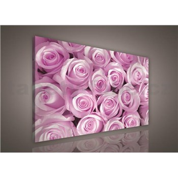 Obraz na stenu ružové ruže 100 x 75 cm