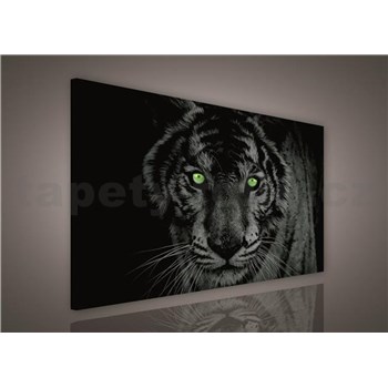 Obraz na stenu tiger zelené oči 75 x 100 cm