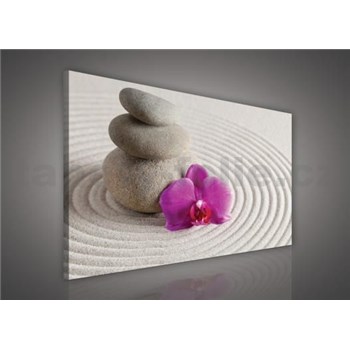 Obraz na stenu wellness orchidea 100 x 75 cm