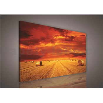 Obraz na stenu pole po žatve 75 x 100 cm